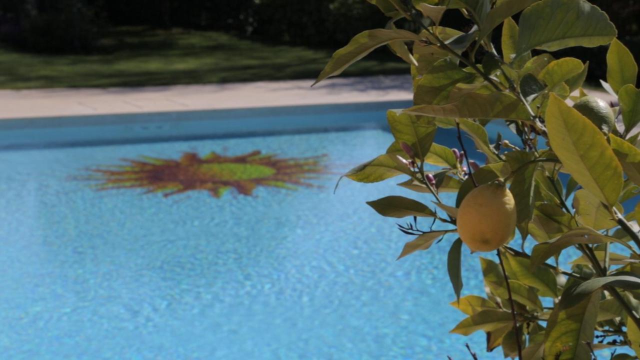 Corte Delle Cicale Bed & Breakfast Бардолино Екстериор снимка